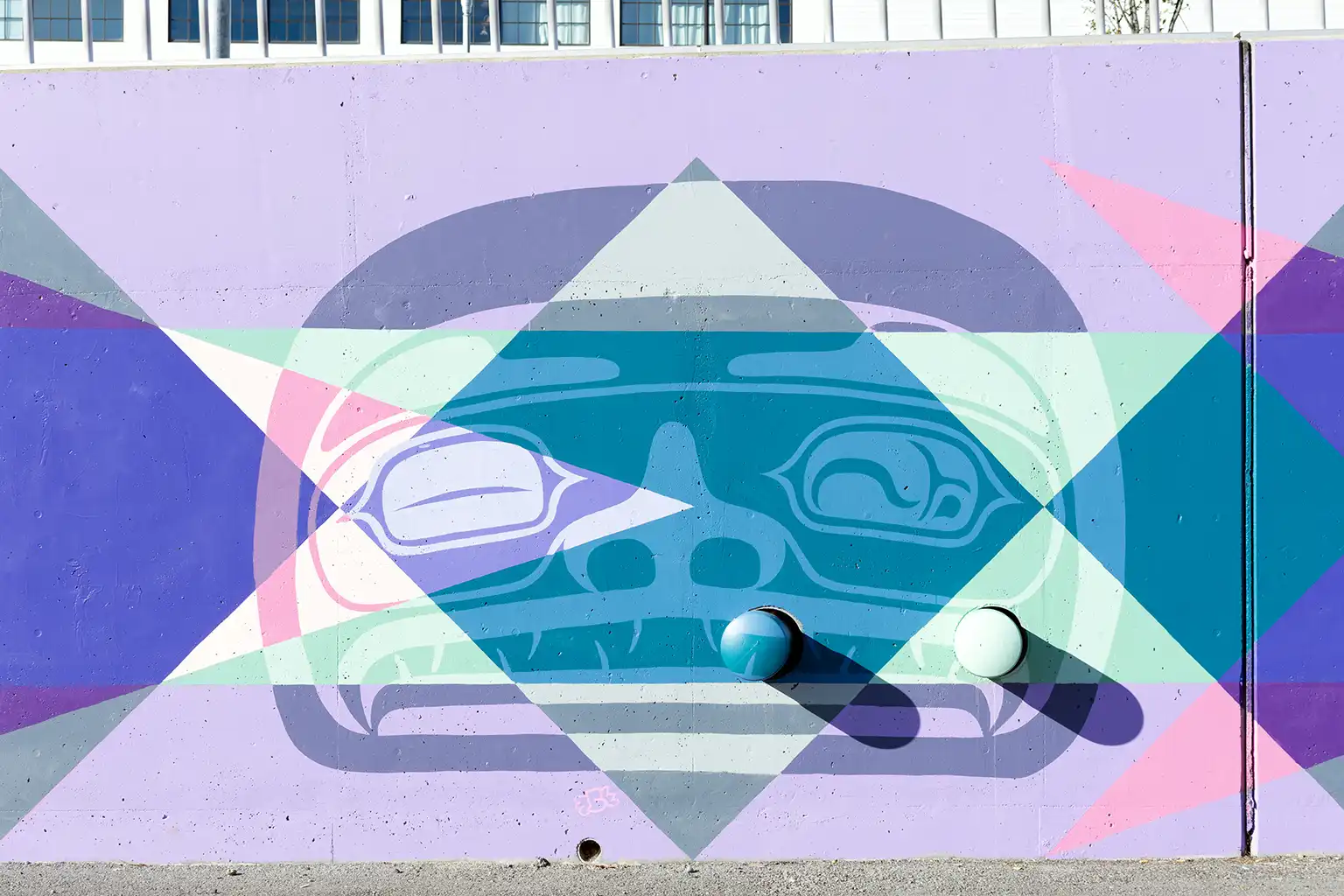 Full size image of Kaa Shaayi's "Long in the Tooth" mural as part of the Indigeversal Collective project in Bellingham Washington