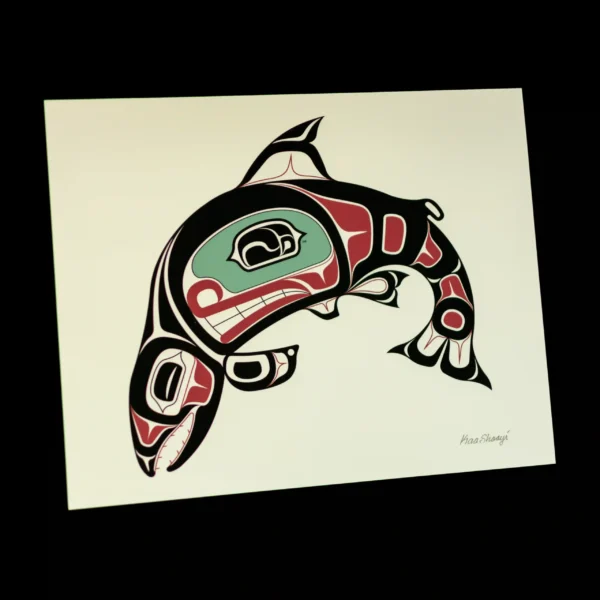 Chum Salmon 8x10